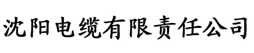 草莓视频深夜电缆厂logo